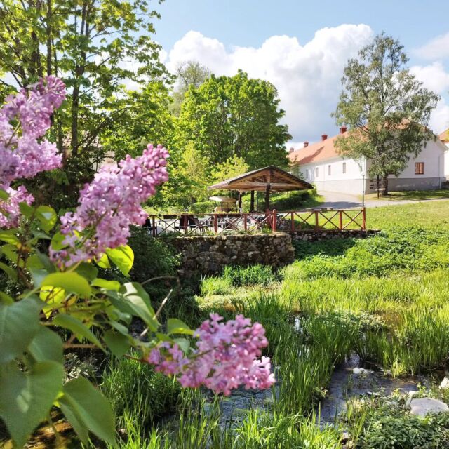 sireli, kas mul õnne 🌸