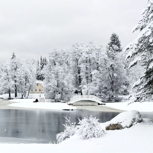 We Are so ready for Christmas movies and Christmas Songs and snow and all that other sappy amazing Winter stuff...

.
.