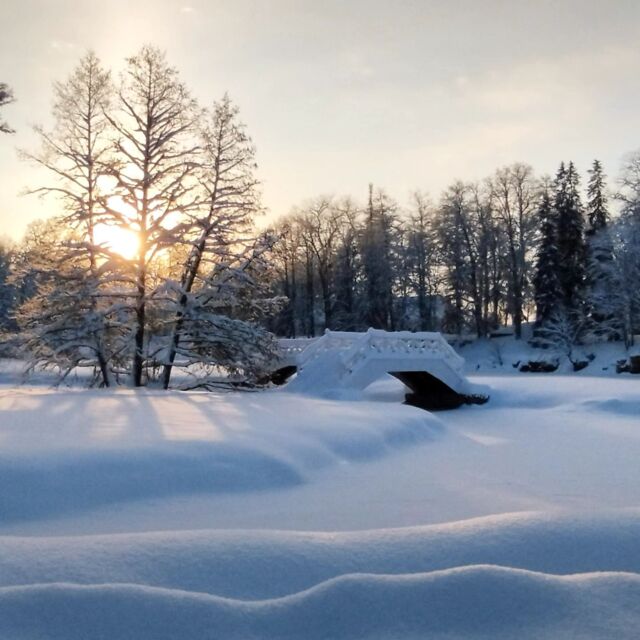 From the mysterious blue tint of early morning to the bright sparkling glare of daytime sunlight on snow-covered landscapes, I’m constantly reminded of just how powerfully the seasonal light of the sun affects us.

.
.
.
📷 @dinainstas 

.
.