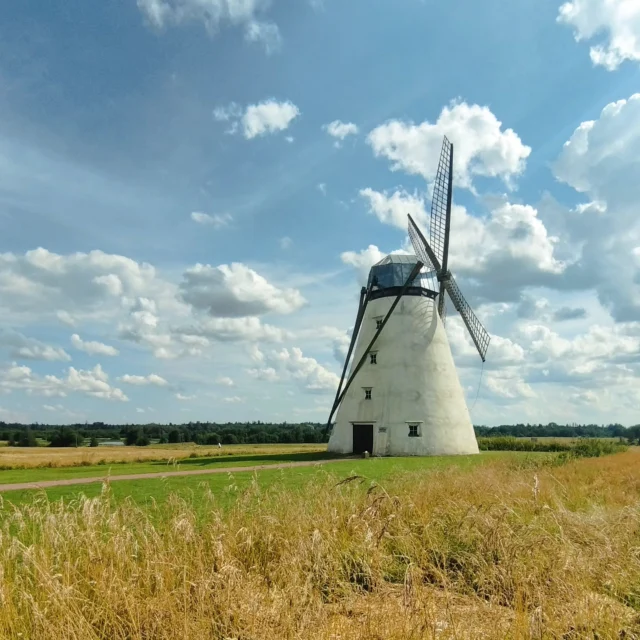 August vibes – golden fields, a gentle breeze, the soft scent of hay, and the quiet charm of an old windmill.

#vihulamanor #summermood #visitestonia #visitlahemaa #visitviru #windmill #estonia