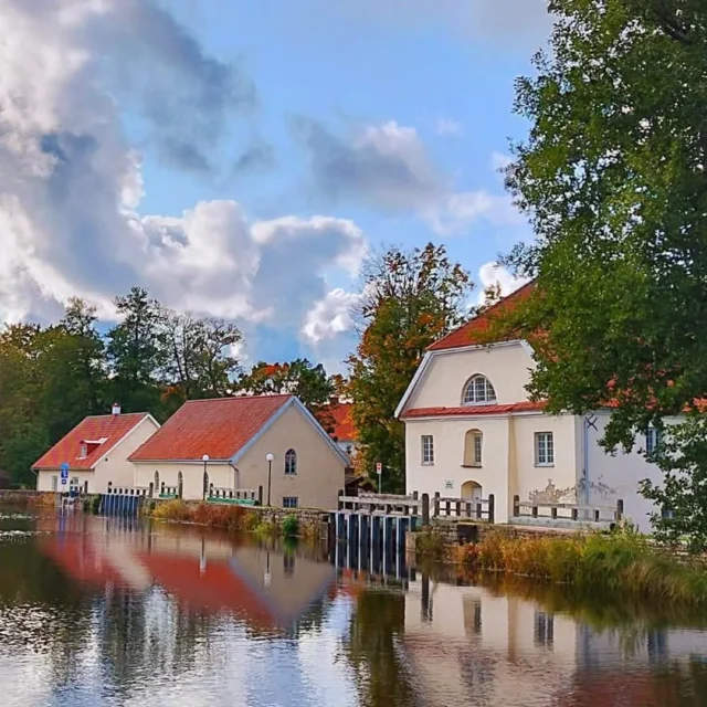 Even though it’s still August, the first signs of autumn are already in the air – cooler mornings, a softer golden light in the evenings, and leaves just beginning to turn. Look closely… can you already spot the first little touches of color?

.
.
