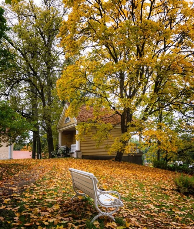 There are countless reasons to visit us this autumn - the golden park, peaceful walks, and the cozy charm of our manor hotel.

.
.
#vihulamanor #autumnmood #october #visitvihulamanor #eestissearmunud #puhkaeestis #lovestonia #visitlahemaa #visitvirumaa #visitviru #countrysidehotel #kaunideestipaigad #ilusadeestipaigad