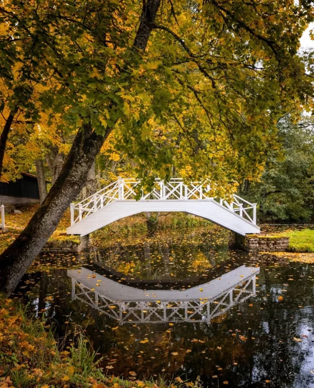 Come for the colors, stay for the calm - a serene river, autumn’s glow, and the warmth of a cozy manor stay.

.
.
#vihulamanor #vihulamois #autumnvibes #autumnmood #visitvihulamanor #eestimõisad #chooseestonia #lahemaa #ilusadeestipaigad #visitvirumaa #visitviru #countrysidehotel #autumncolours #loveestonia #puhkaeestis