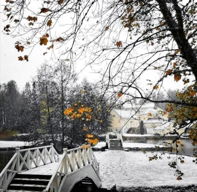 Winter is coming ❄️ The first snow has kissed the ground, and in just 41 days, Christmas will fill our hearts with light and wonder.

.
.
#vihulamanor #countrysidehotels #winteriscoming #puhkaeestis #lovethisplace #lovestonia #visitestonia #winter #winterwibes #wintermood #visitvihulamanor #winteroutside #estonia