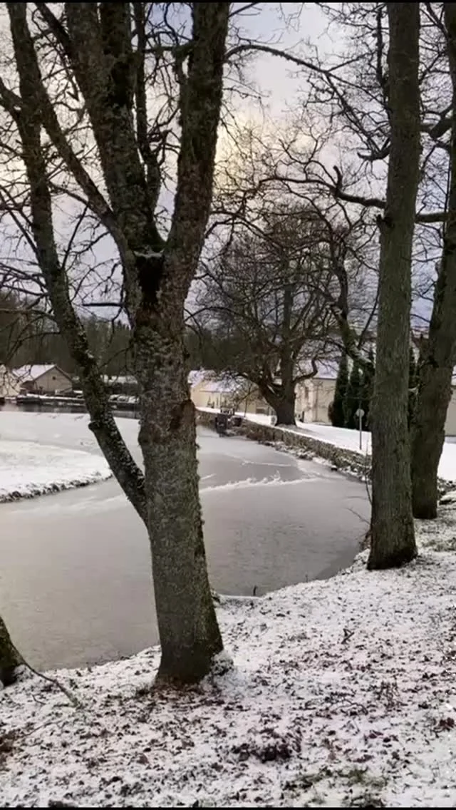 Finally, the snow is falling — winter has found its way to us, gently closing the year and welcoming the quiet promise of a New Year.