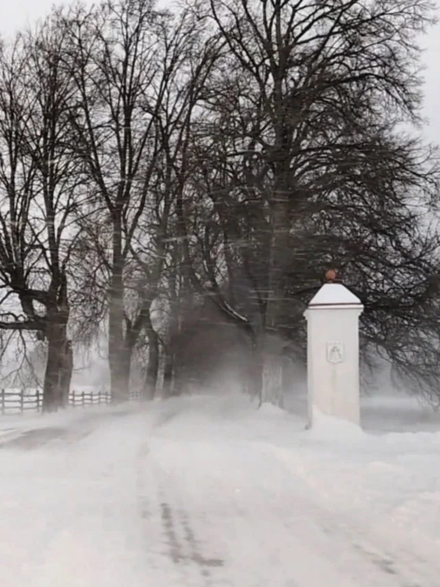 Tuisk jookseb võidu tuisuga – varuge sõiduks lisaaega ja võtke hoog maha. Teeolud on rasked, sõitke rahulikult ja turvaliselt.
It’s seriously snowing — don’t rush, take it slow, and give yourself extra time!